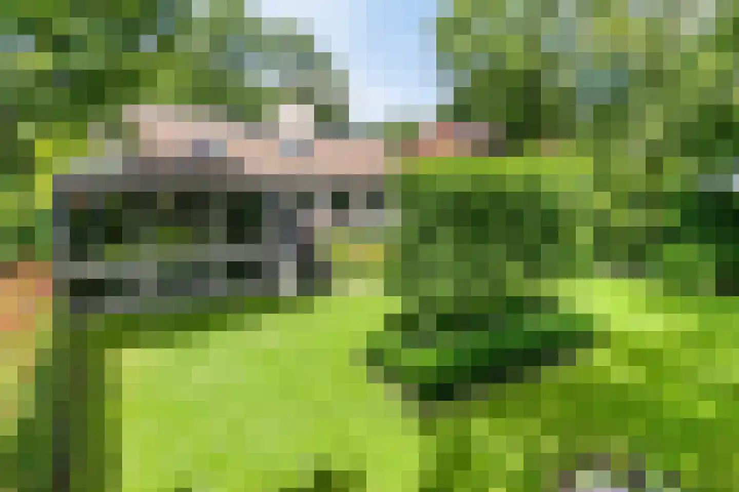 Diepenbrocklaan 4 Ede thumbnail 49