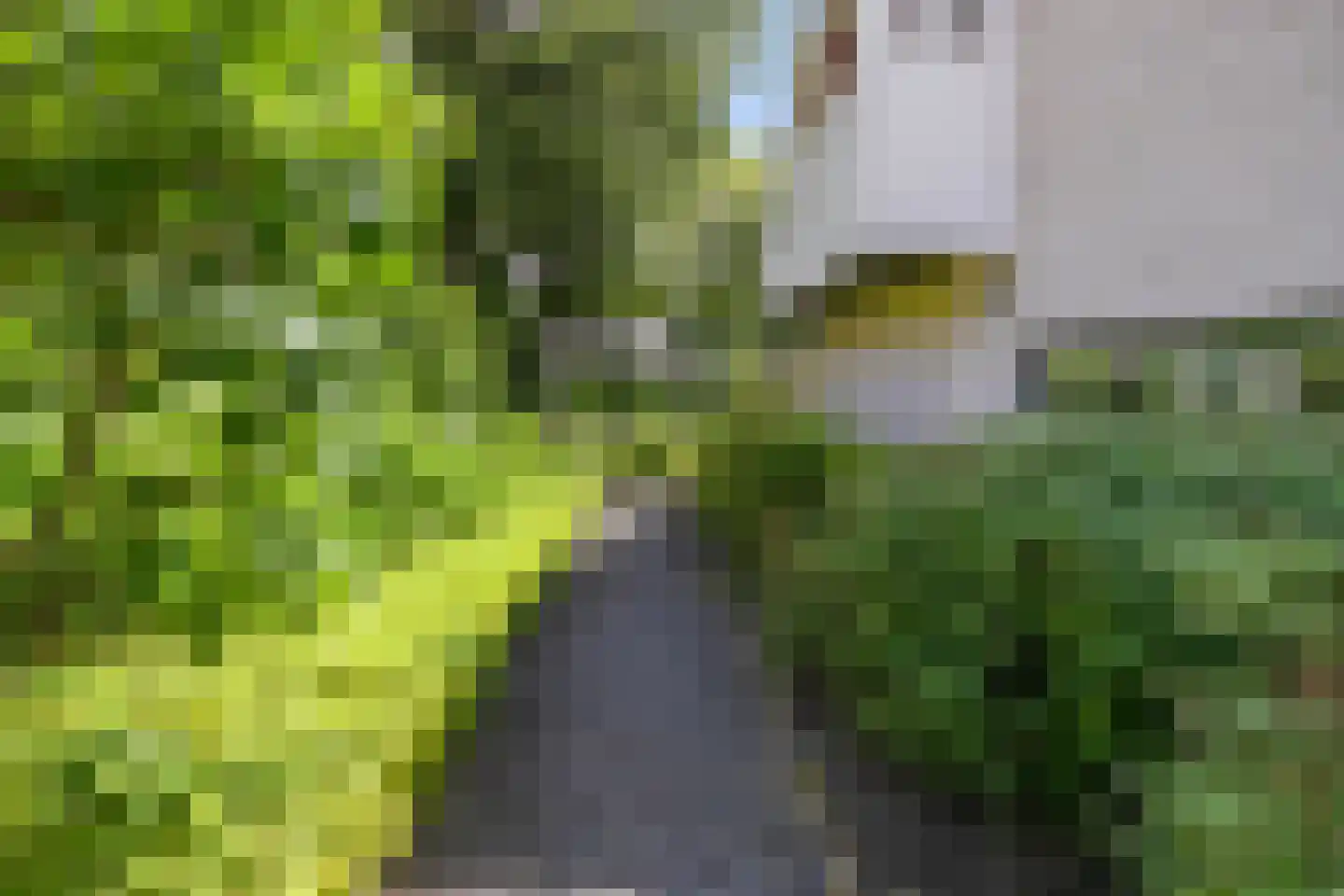 Diepenbrocklaan 4 Ede thumbnail 36