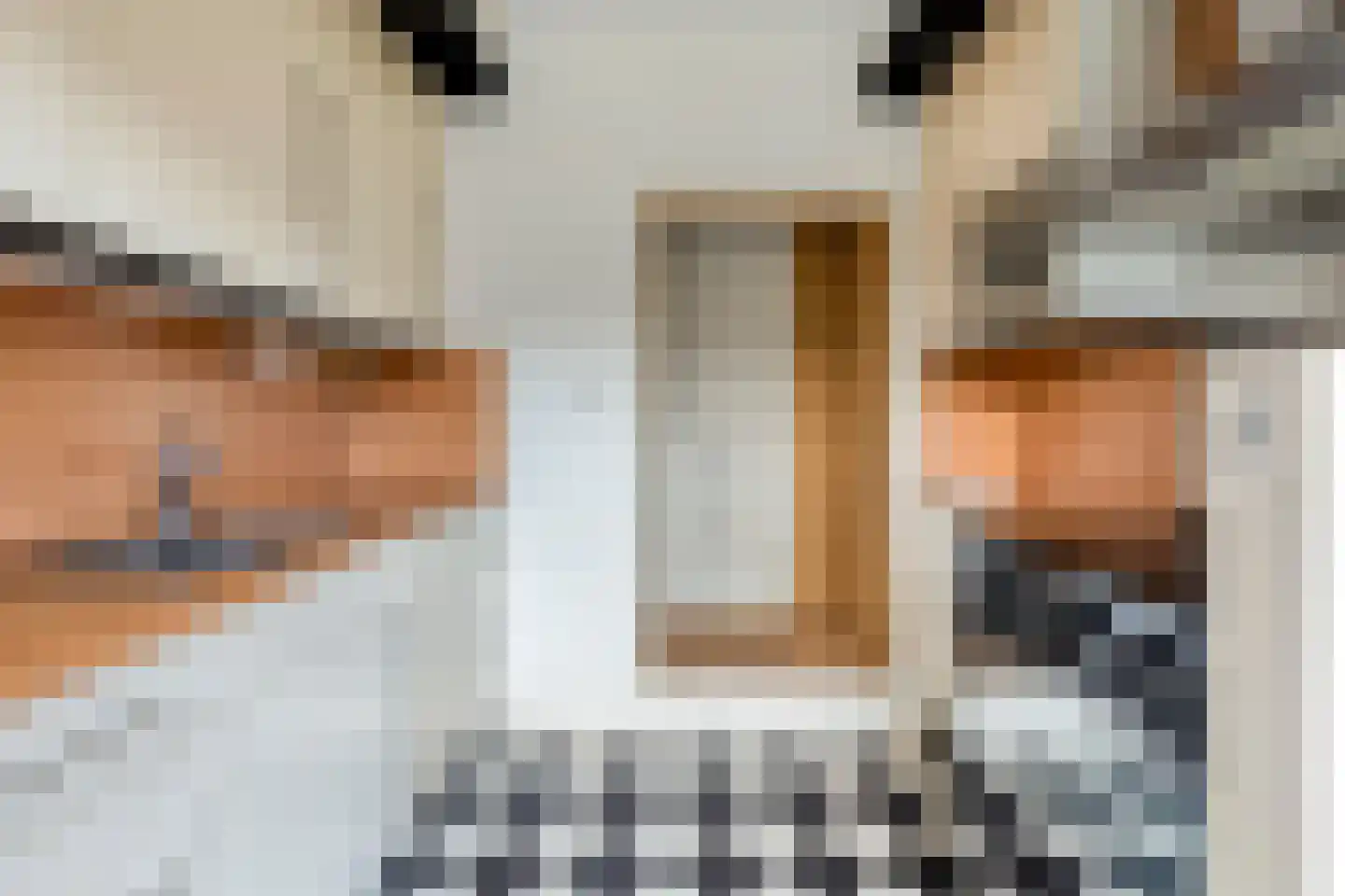 Diepenbrocklaan 5 Alkmaar thumbnail 13
