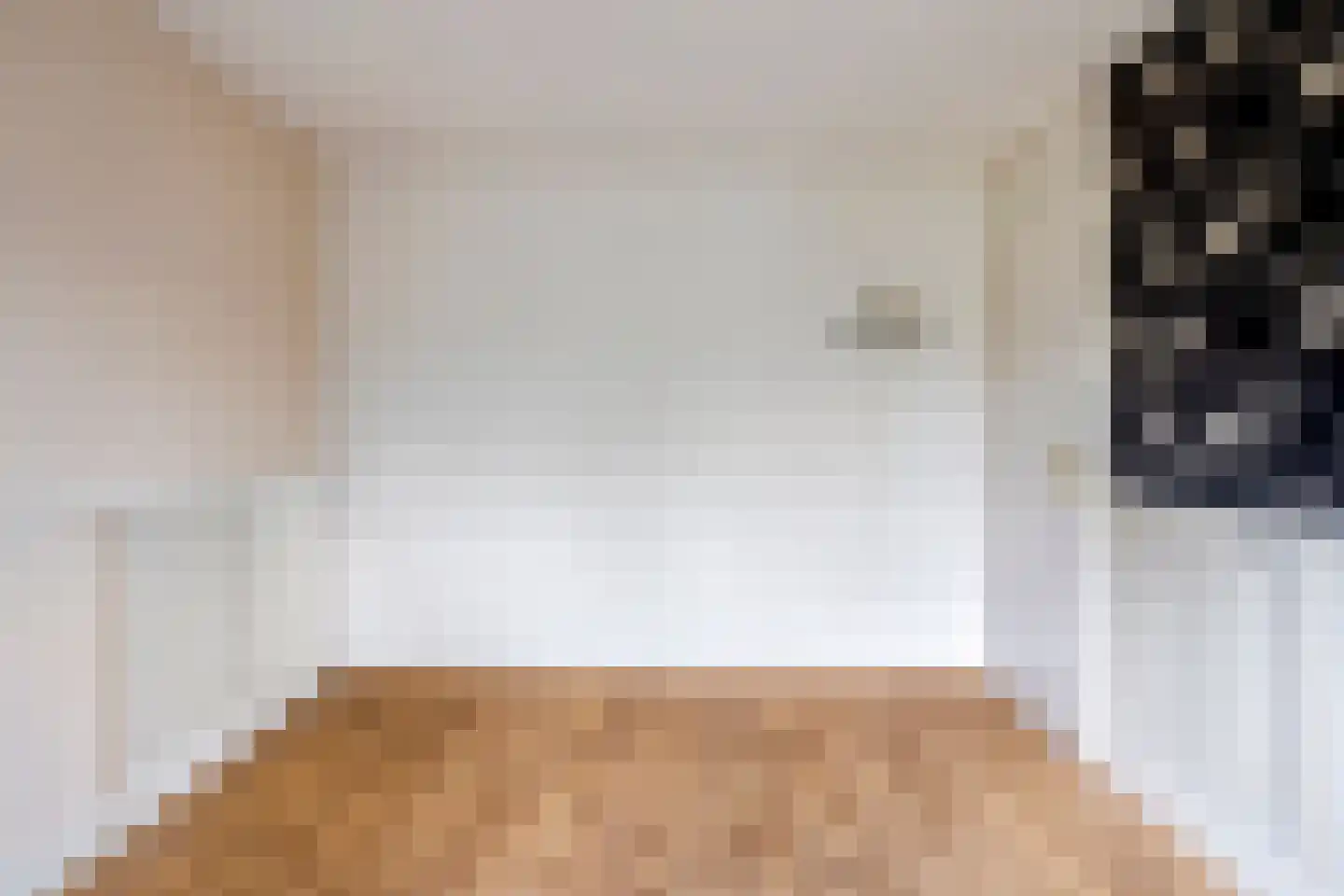 Diepenbrocklaan 5 Alkmaar thumbnail 23