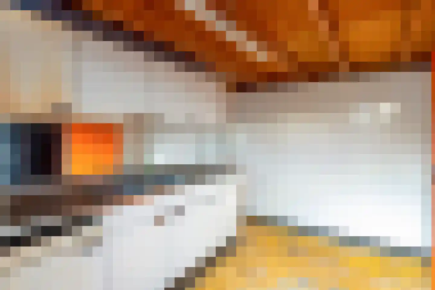 Diepenbrocklaan 5 Alkmaar thumbnail 26