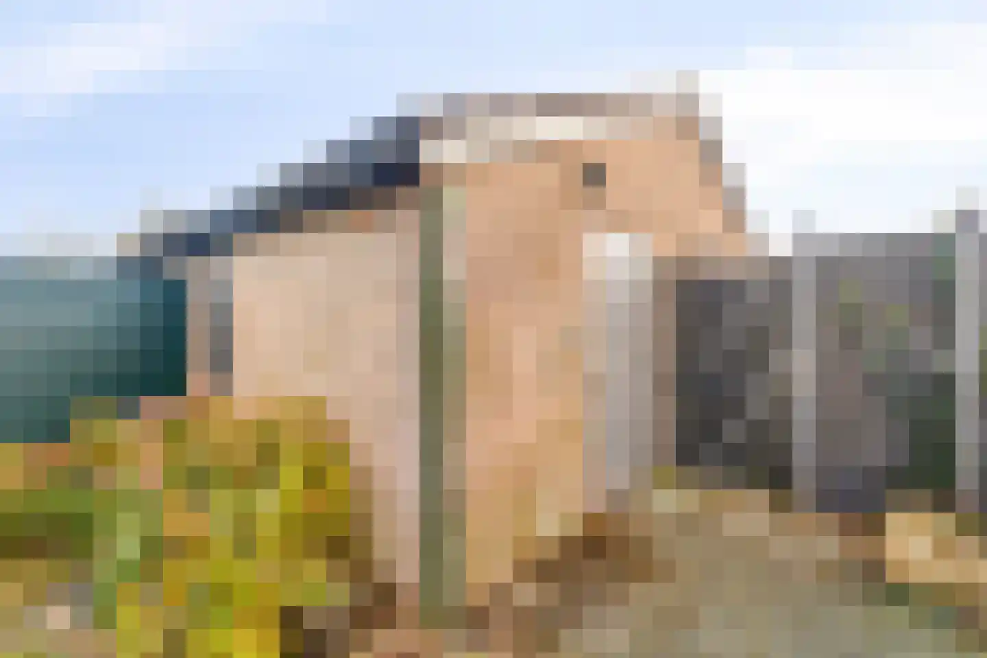 Diepenbrocklaan 5 Alkmaar thumbnail 32