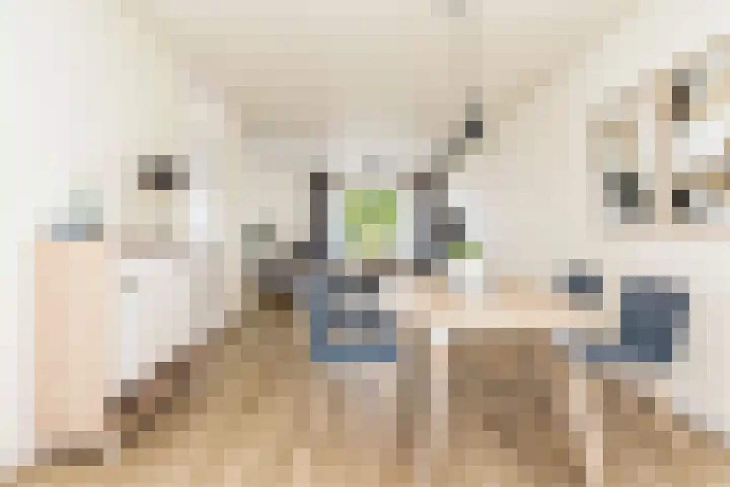 Diepenbrocklaan 5 Alkmaar thumbnail 4