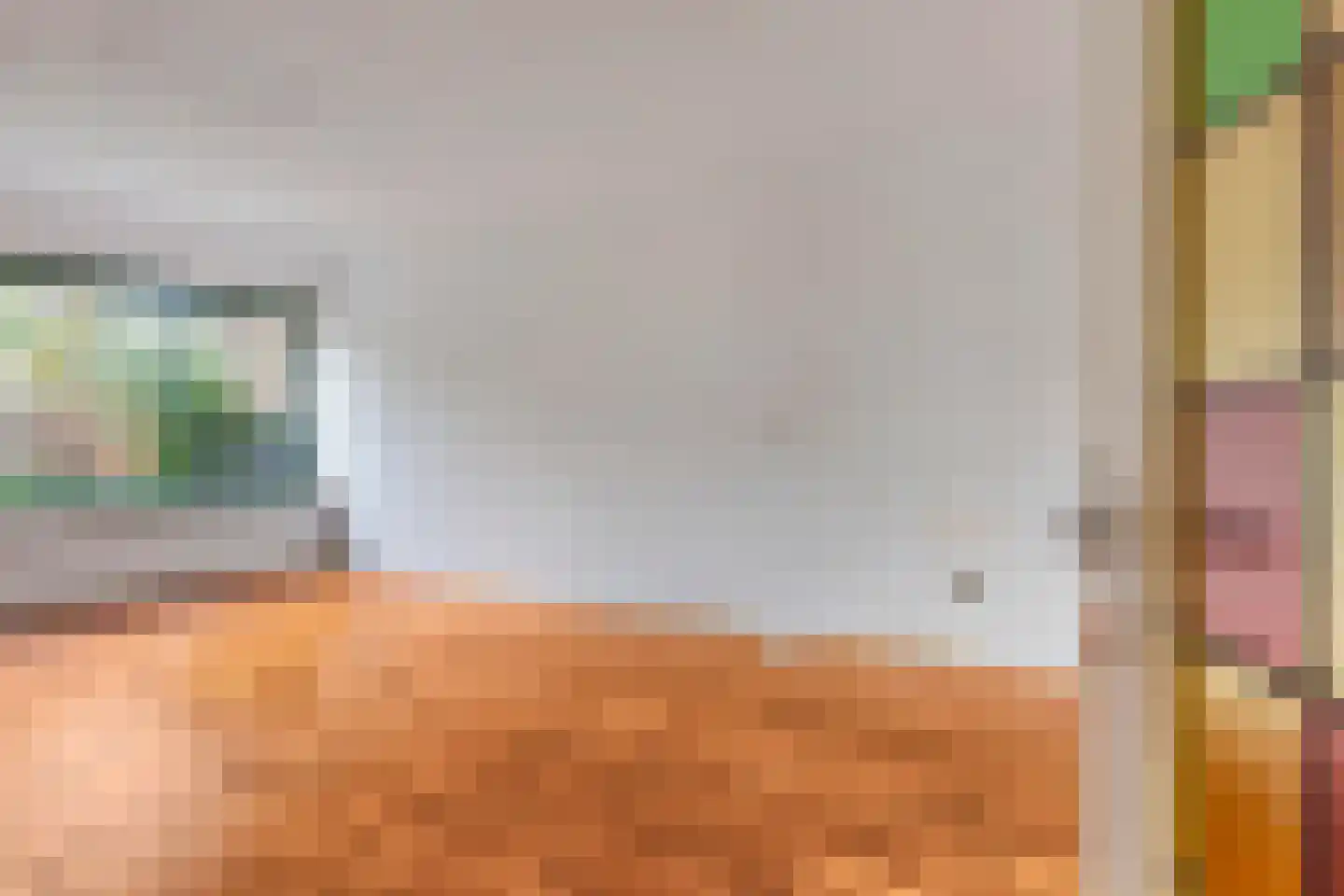 Diepenbrocklaan 5 Alkmaar thumbnail 8