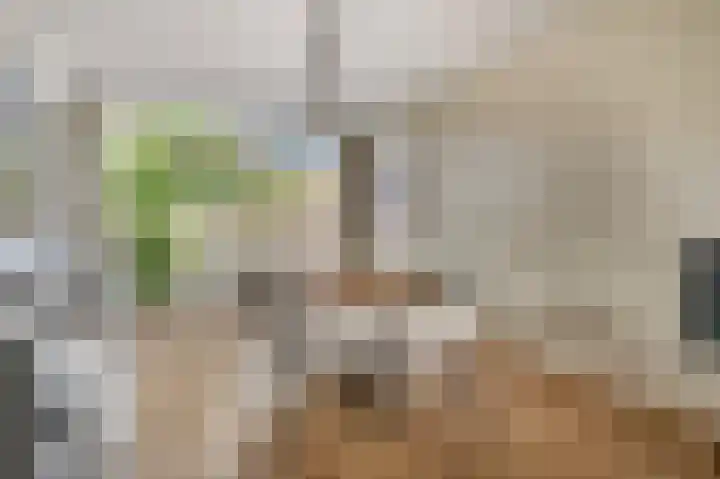 Diepenbrocklaan 5 Ede thumbnail 10