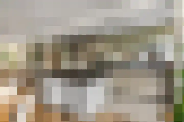 Diepenbrocklaan 5 Ede thumbnail 11