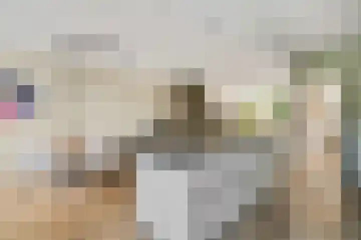 Diepenbrocklaan 5 Ede thumbnail 12