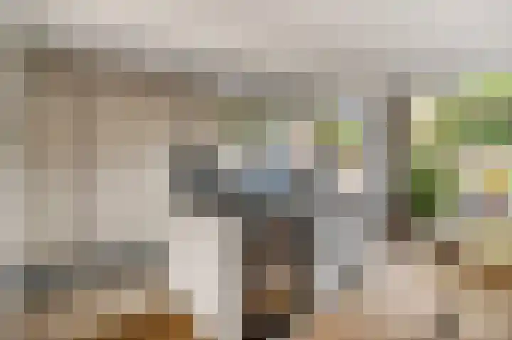 Diepenbrocklaan 5 Ede thumbnail 13