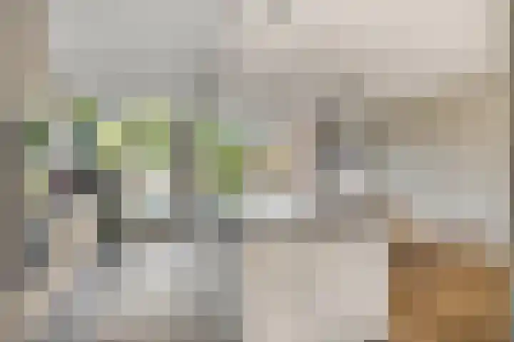 Diepenbrocklaan 5 Ede thumbnail 14