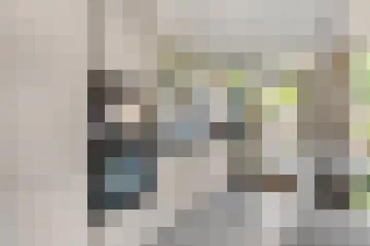 Diepenbrocklaan 5 Ede thumbnail 15
