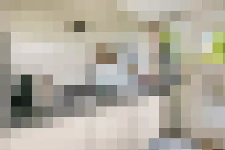 Diepenbrocklaan 5 Ede thumbnail 16