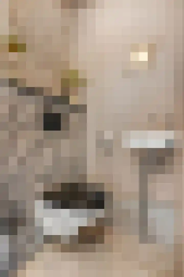 Diepenbrocklaan 5 Ede thumbnail 19