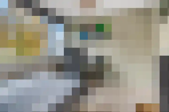 Diepenbrocklaan 5 Ede thumbnail 23