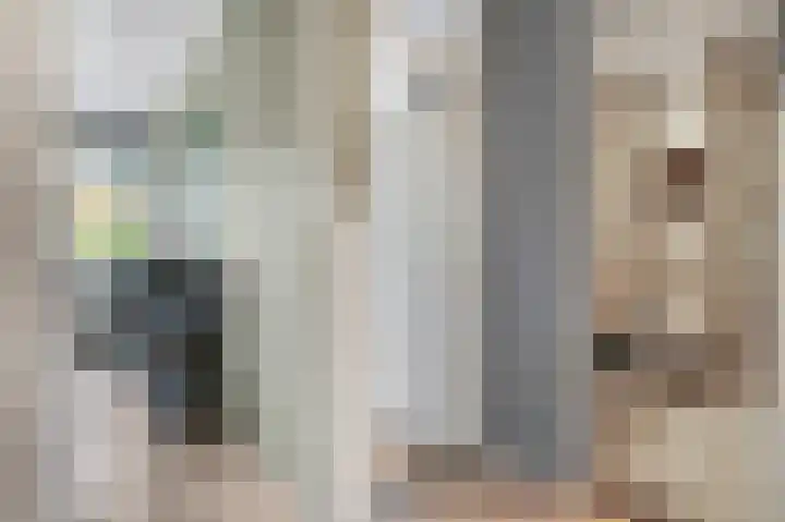 Diepenbrocklaan 5 Ede thumbnail 33