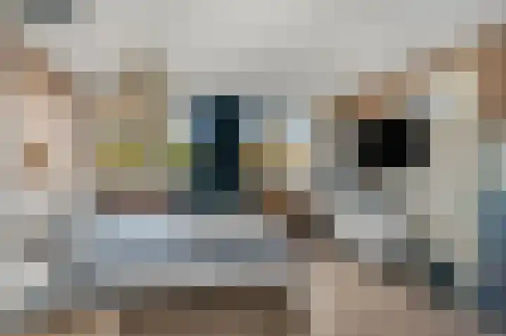 Diepenbrocklaan 5 Ede thumbnail 35