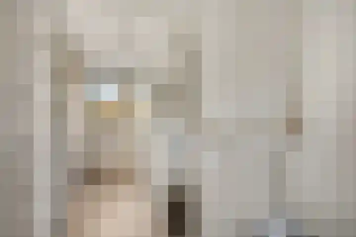 Diepenbrocklaan 5 Ede thumbnail 37