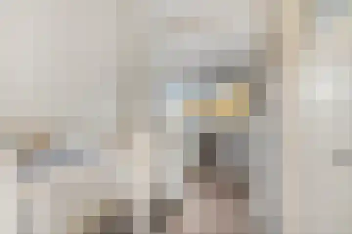 Diepenbrocklaan 5 Ede thumbnail 38