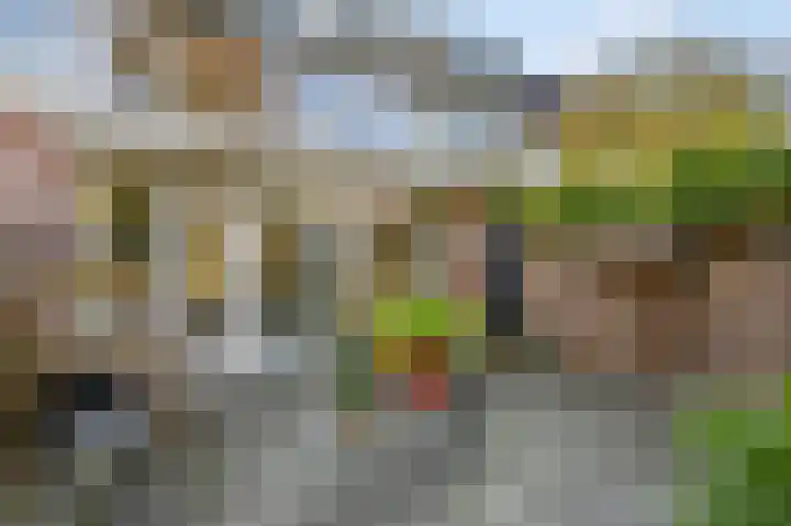 Diepenbrocklaan 5 Ede thumbnail 39