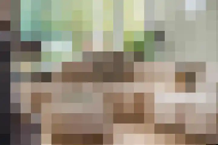 Diepenbrocklaan 5 Ede thumbnail 4