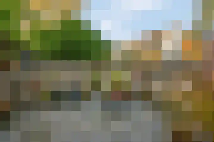 Diepenbrocklaan 5 Ede thumbnail 41