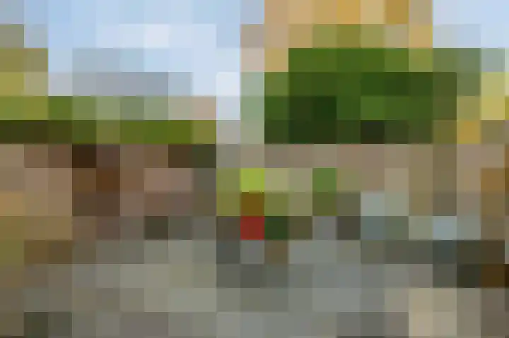 Diepenbrocklaan 5 Ede thumbnail 42