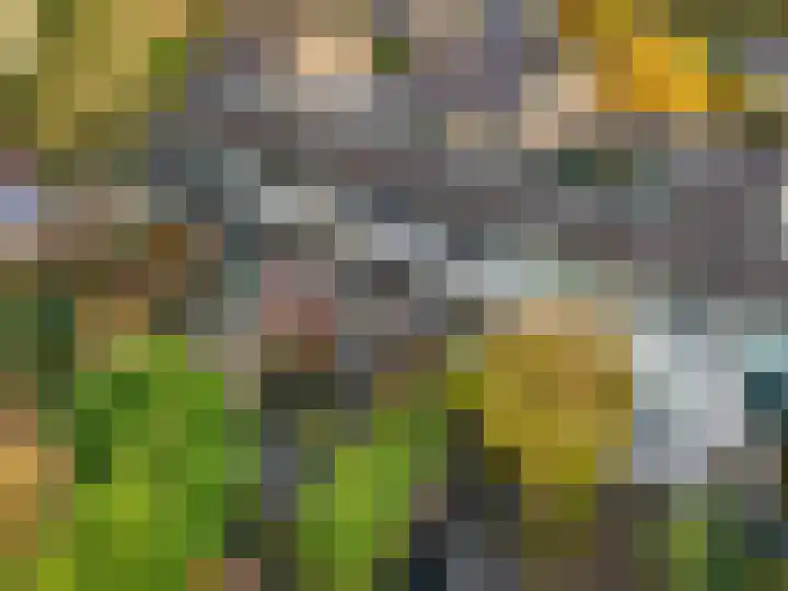 Diepenbrocklaan 5 Ede thumbnail 46