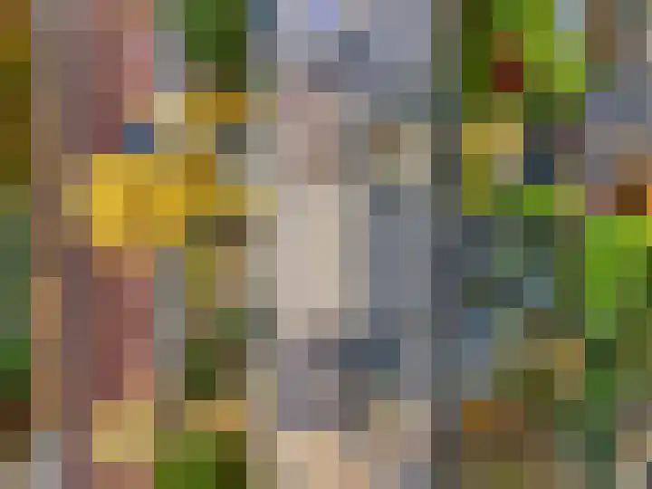 Diepenbrocklaan 5 Ede thumbnail 47