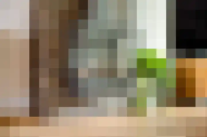 Diepenbrocklaan 5 Ede thumbnail 5