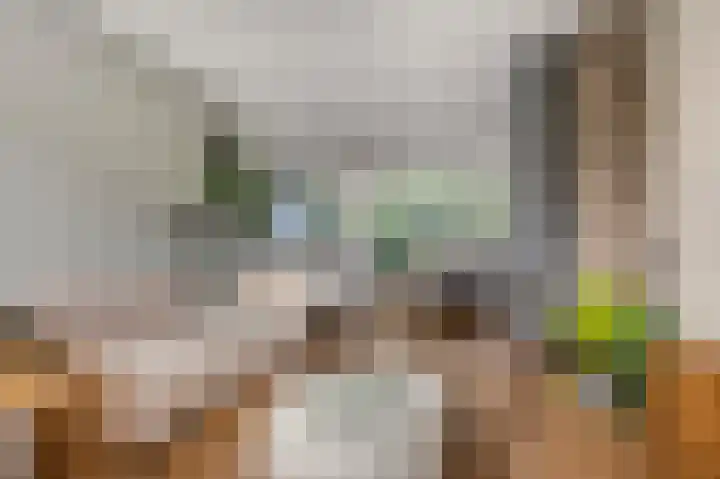 Diepenbrocklaan 5 Ede thumbnail 6