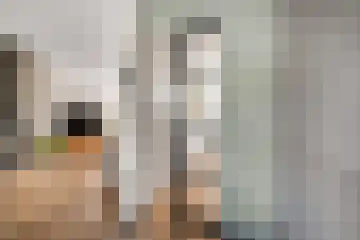 Diepenbrocklaan 5 Ede thumbnail 7