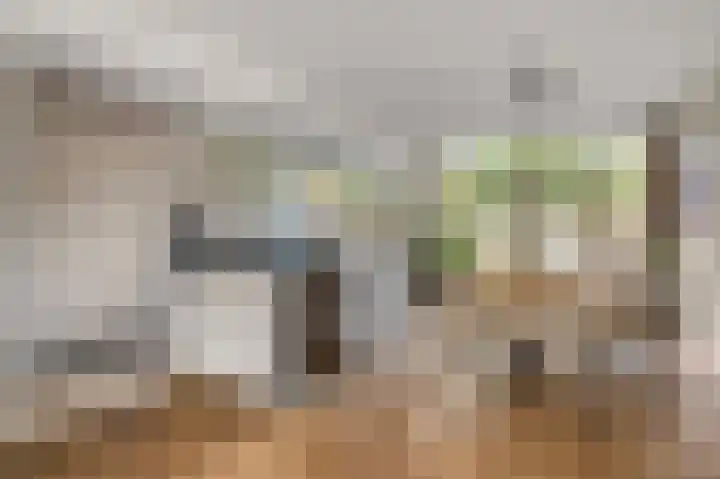 Diepenbrocklaan 5 Ede thumbnail 9