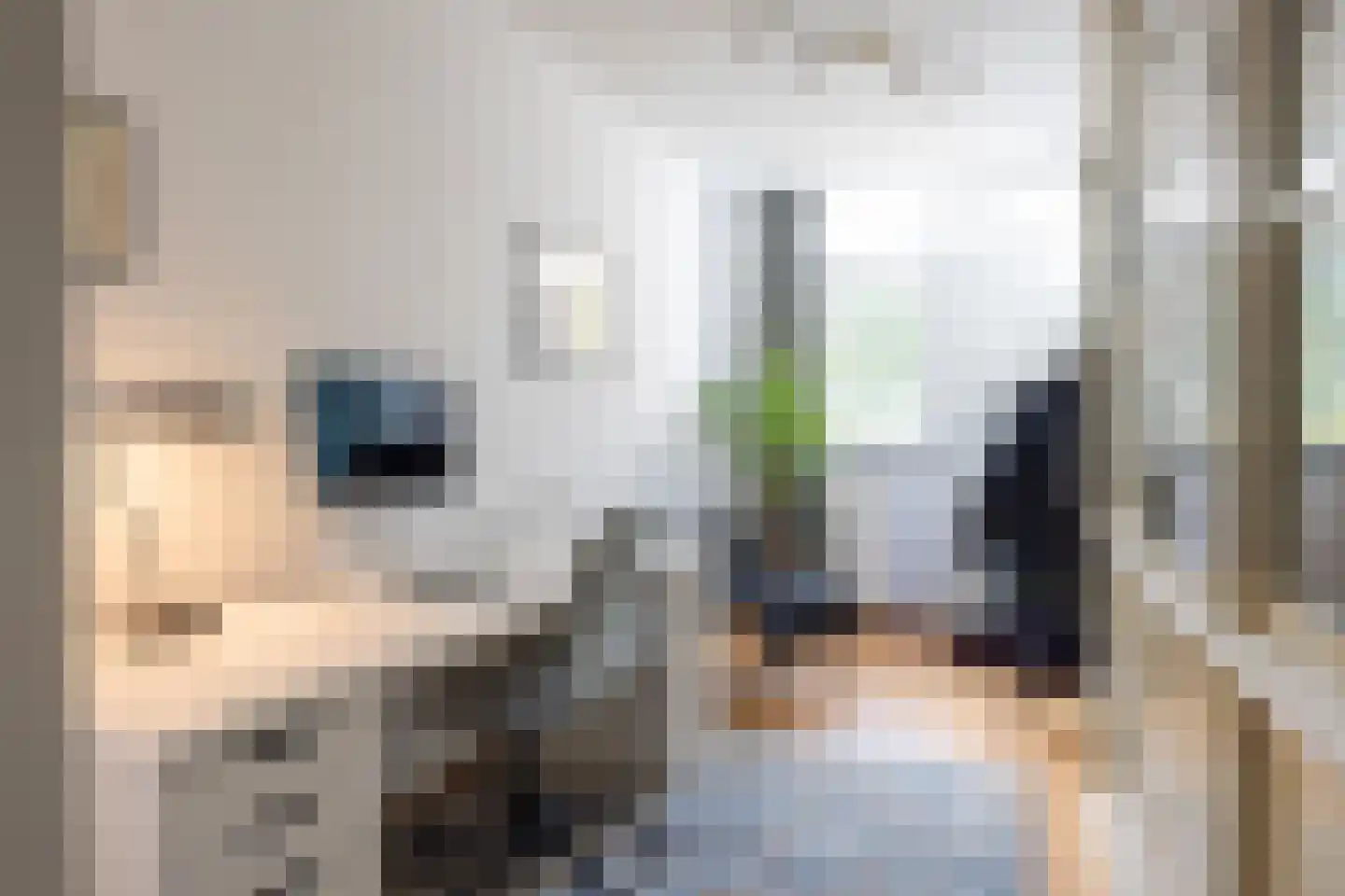 Diepenbrocklaan 5 Rotterdam thumbnail 14