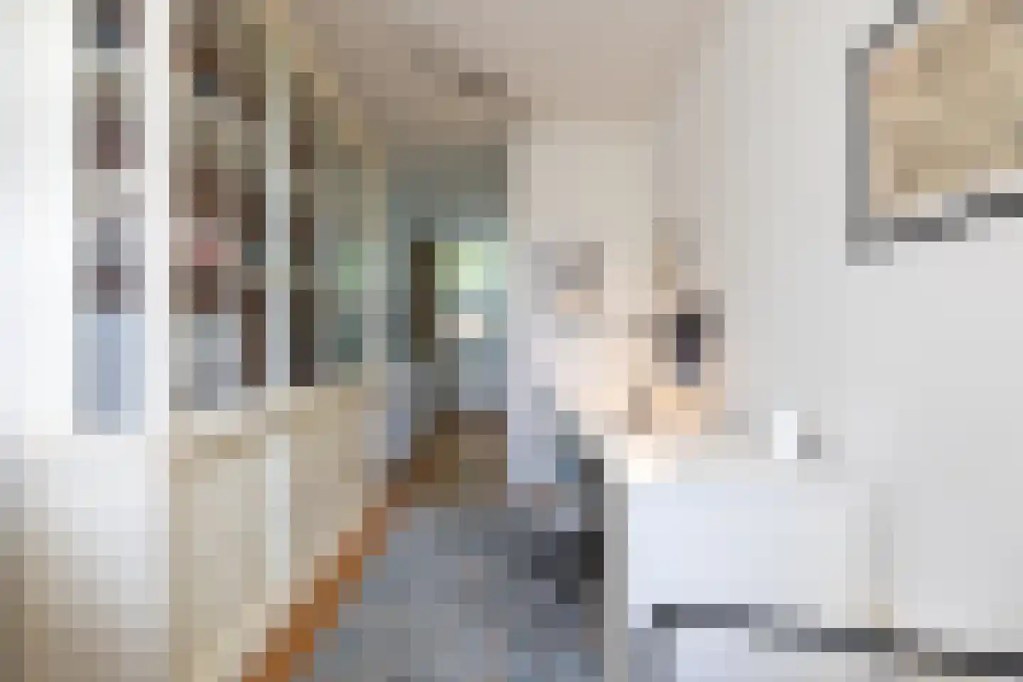 Diepenbrocklaan 5 Rotterdam thumbnail 15