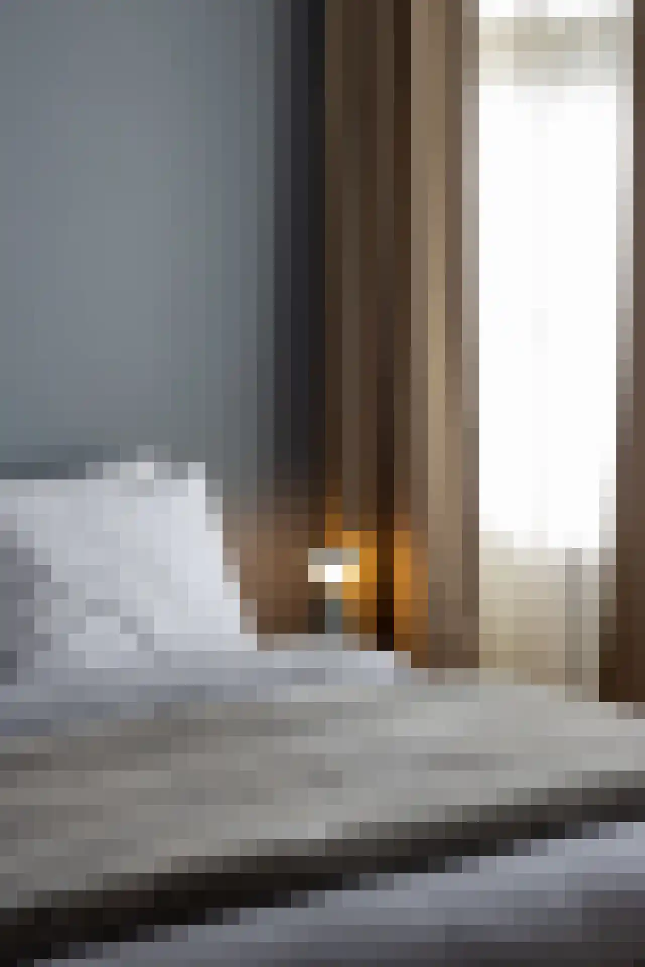 Diepenbrocklaan 5 Rotterdam thumbnail 20