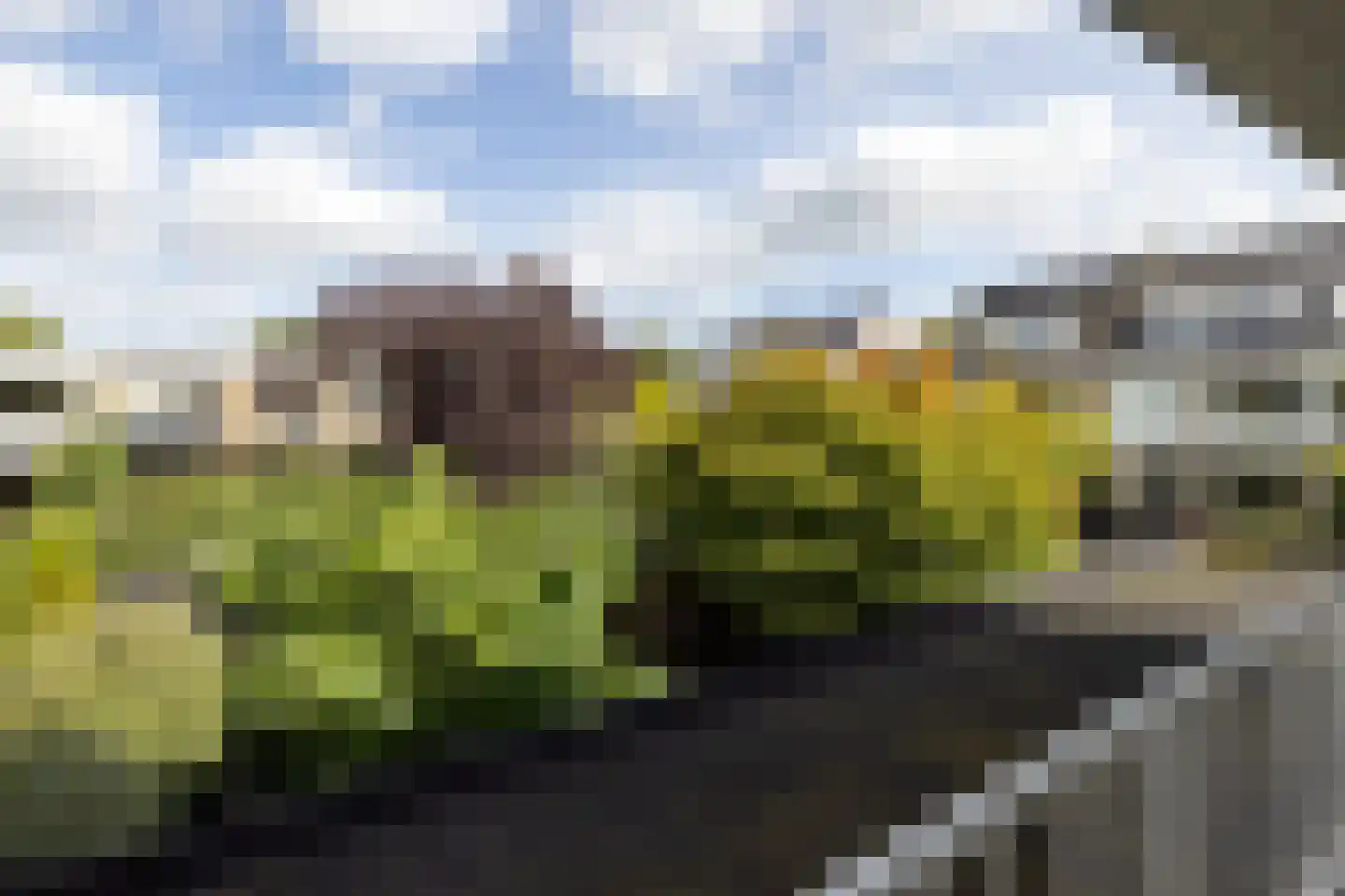 Diepenbrocklaan 5 Rotterdam thumbnail 24