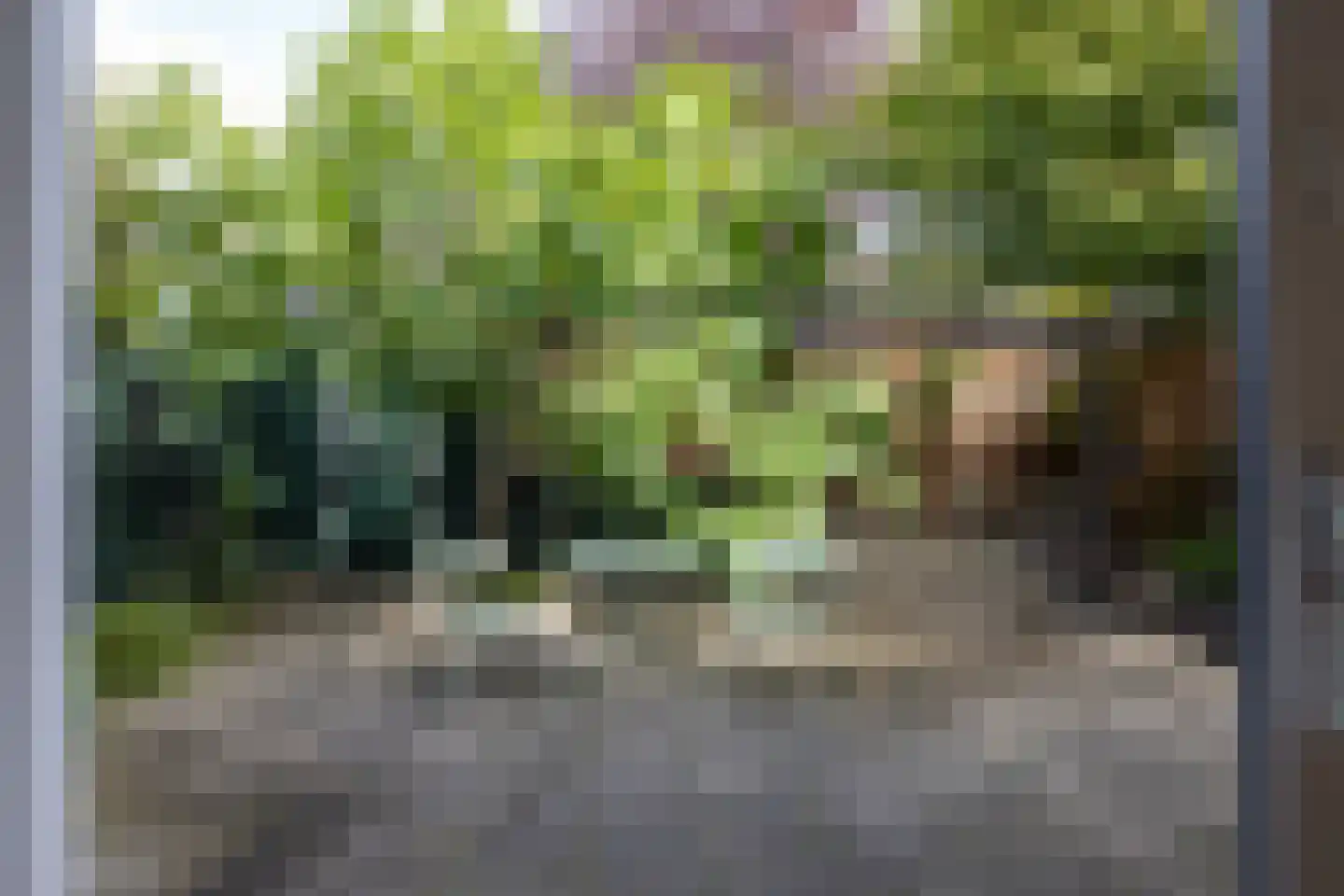 Diepenbrocklaan 5 Rotterdam thumbnail 30