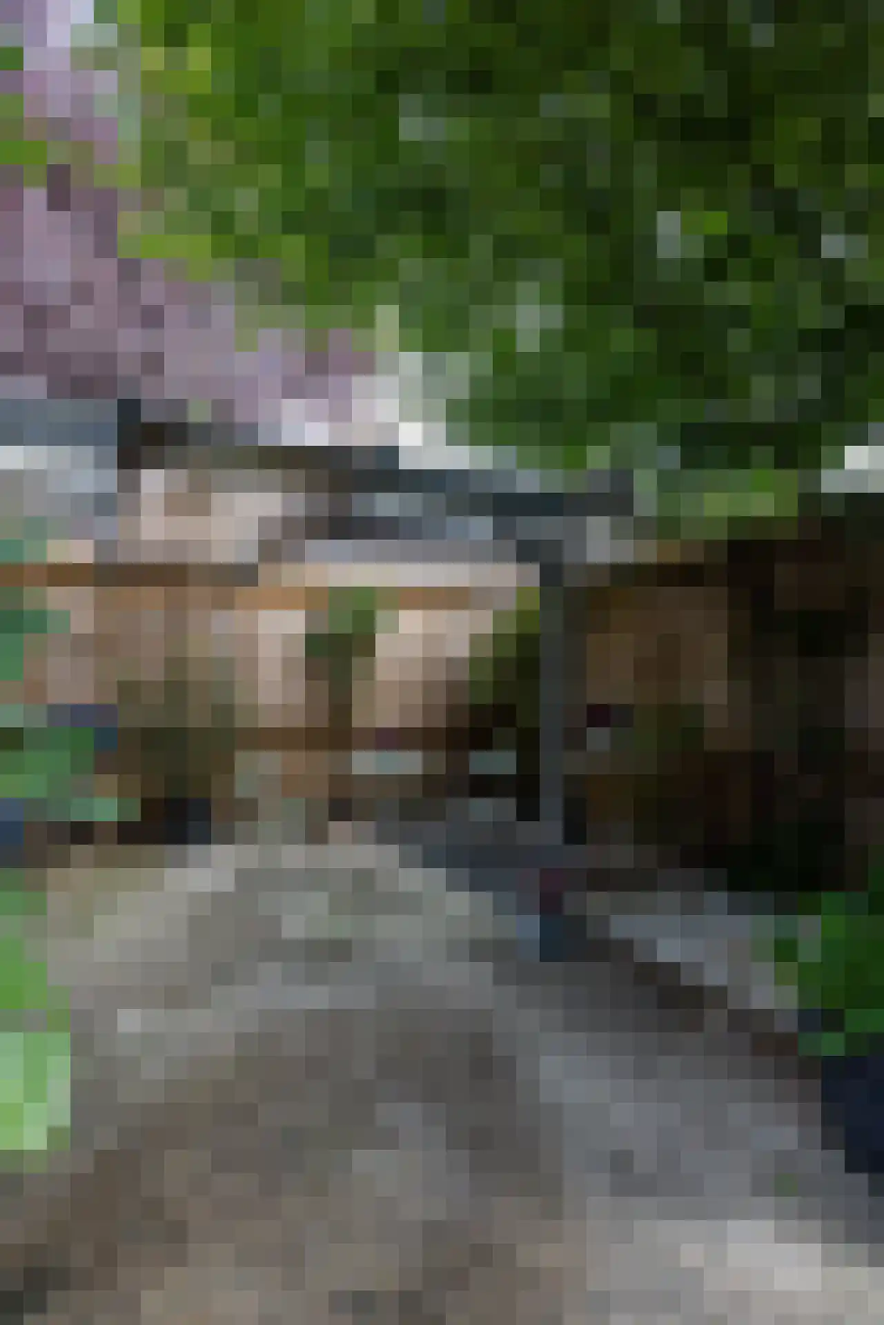 Diepenbrocklaan 5 Rotterdam thumbnail 33