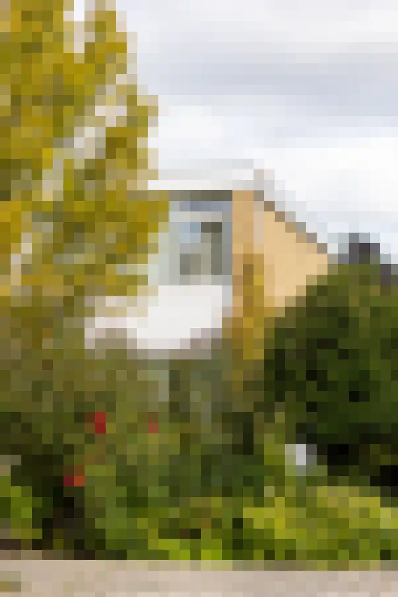 Diepenbrocklaan 5 Rotterdam thumbnail 35