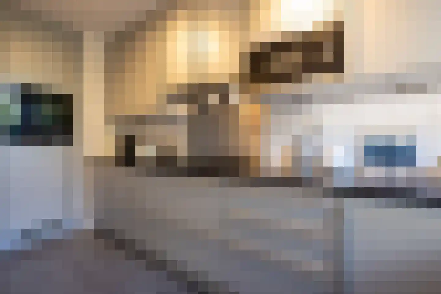 Diepenbrocklaan 5 Rotterdam thumbnail 4