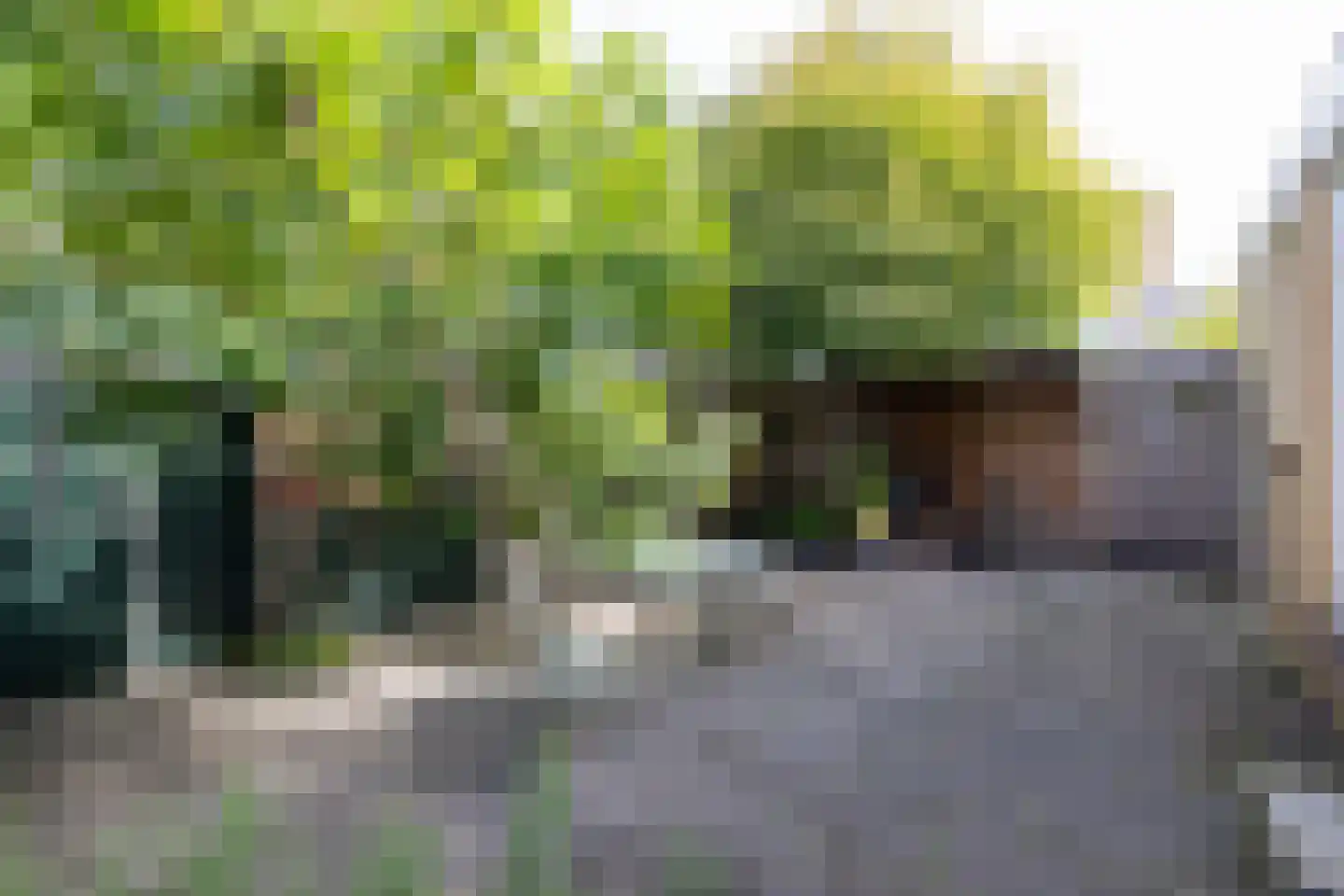 Diepenbrocklaan 5 Rotterdam thumbnail 5
