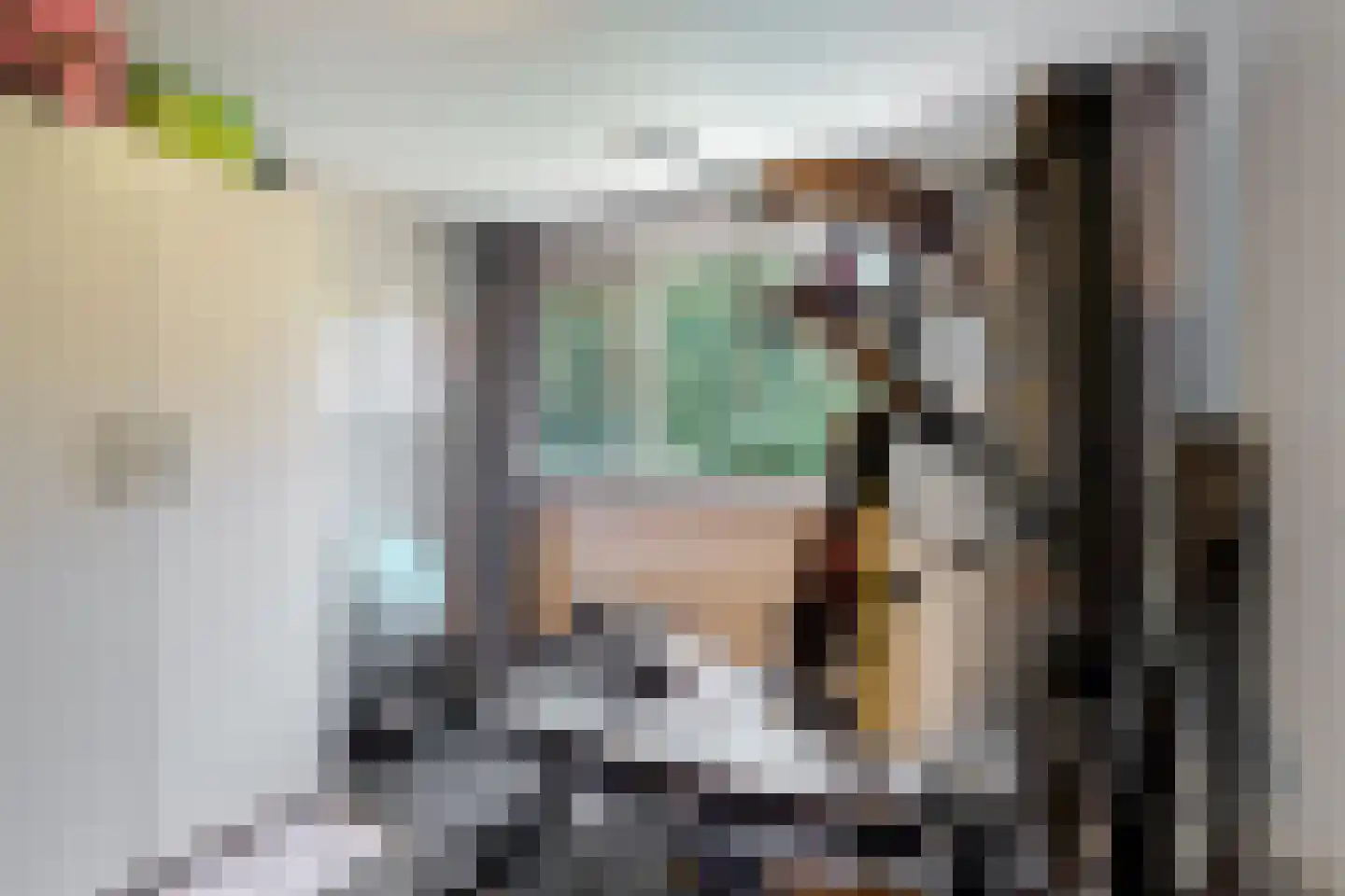 Diepenbrocklaan 6 Alkmaar thumbnail 17