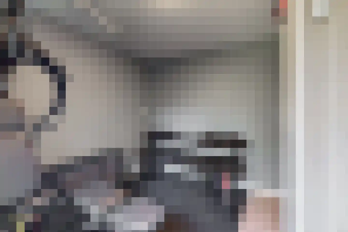 Diepenbrocklaan 6 Alkmaar thumbnail 18