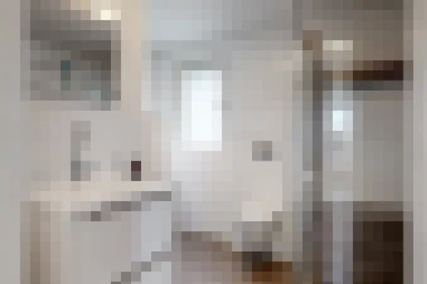 Diepenbrocklaan 6 Alkmaar thumbnail 23