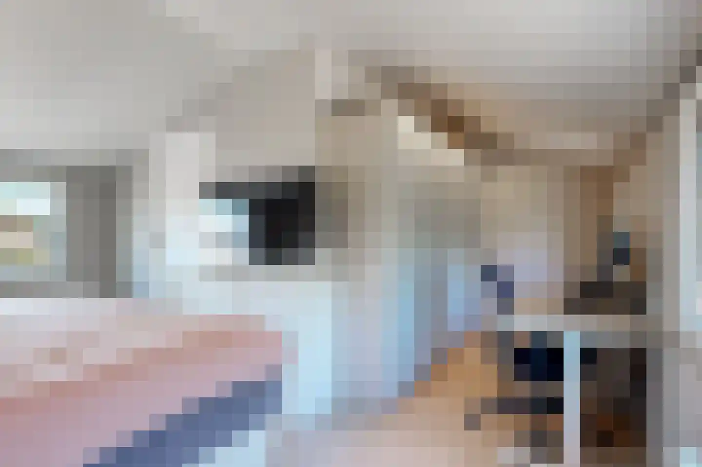 Diepenbrocklaan 6 Alkmaar thumbnail 27