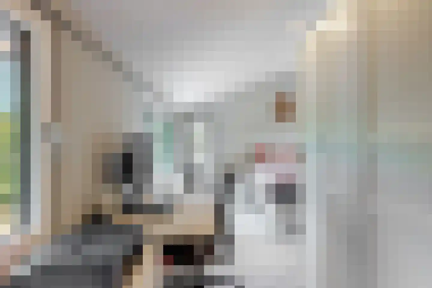 Diepenbrocklaan 6 Alkmaar thumbnail 29