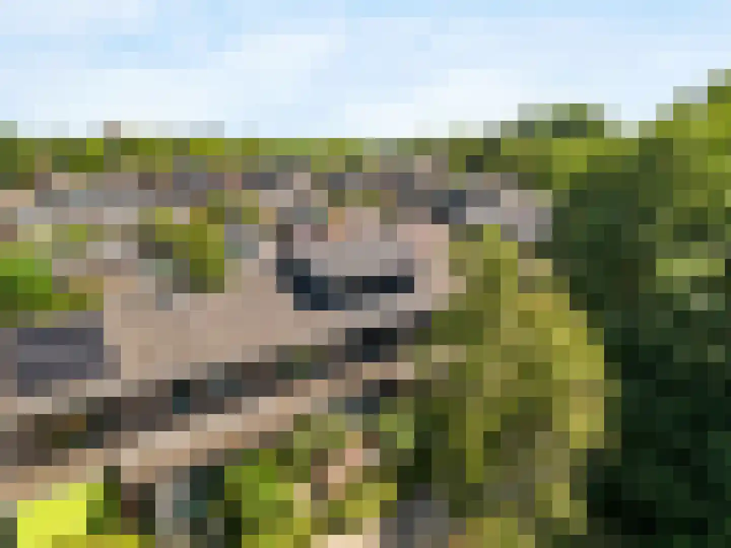 Diepenbrocklaan 6 Alkmaar thumbnail 41