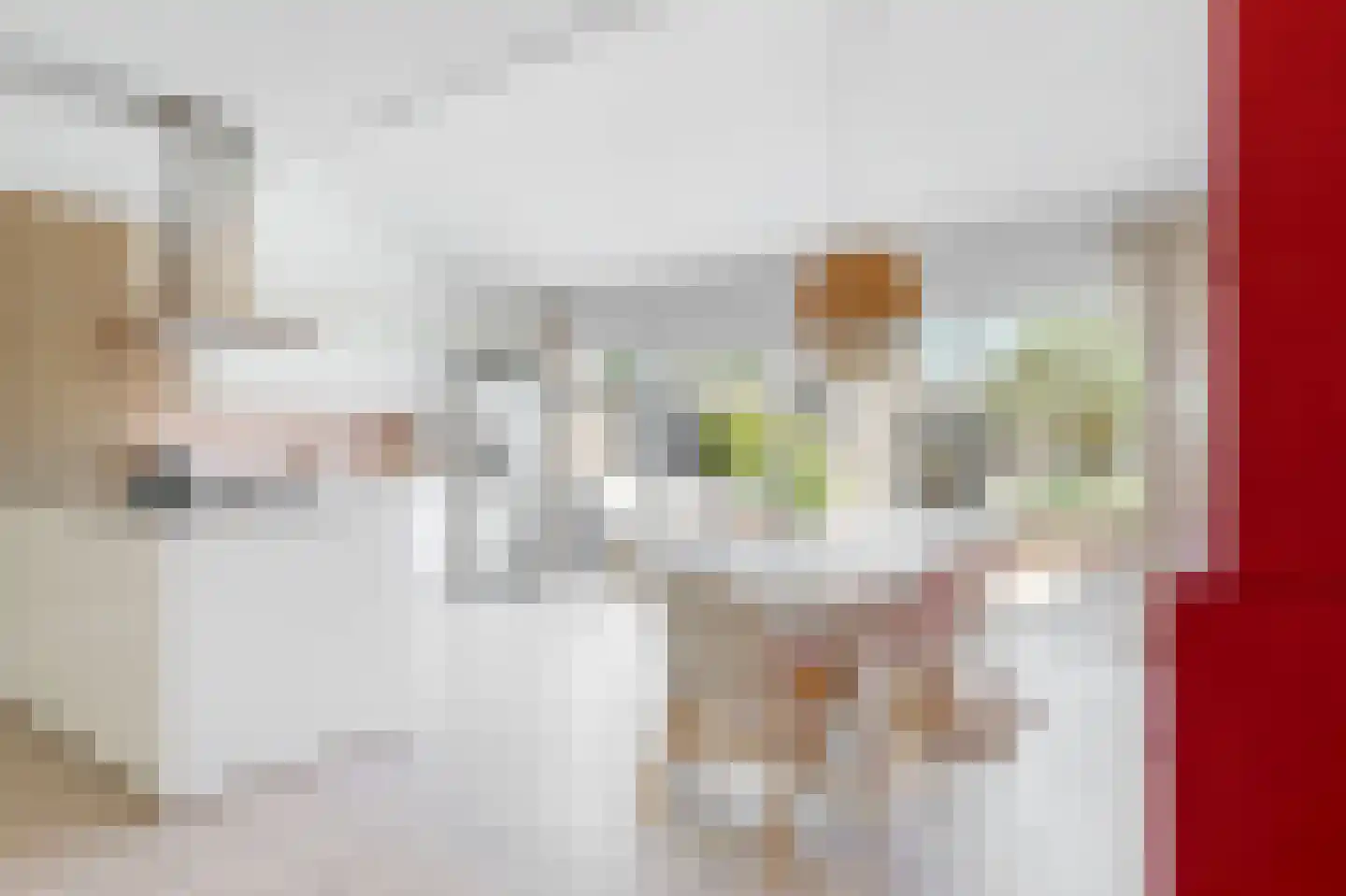 Diepenbrocklaan 6 Alkmaar thumbnail 7