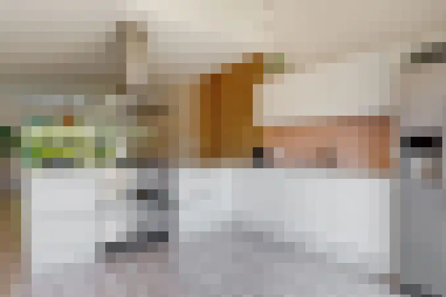 Diepenbrocklaan 6 Alkmaar thumbnail 9