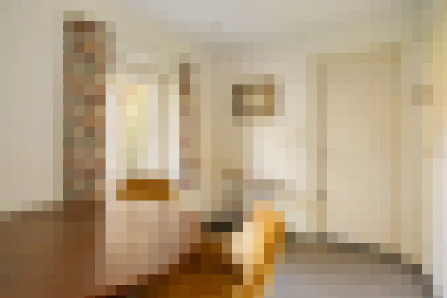 Diepenbrocklaan 6 Son en Breugel thumbnail 18