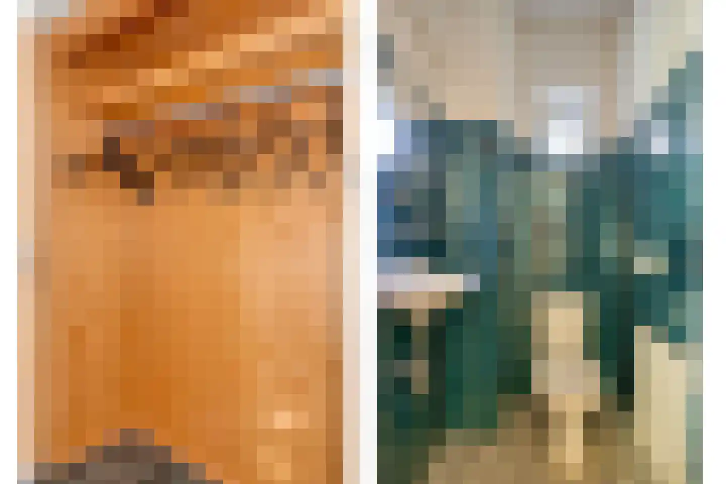 Diepenbrocklaan 6 Son en Breugel thumbnail 20